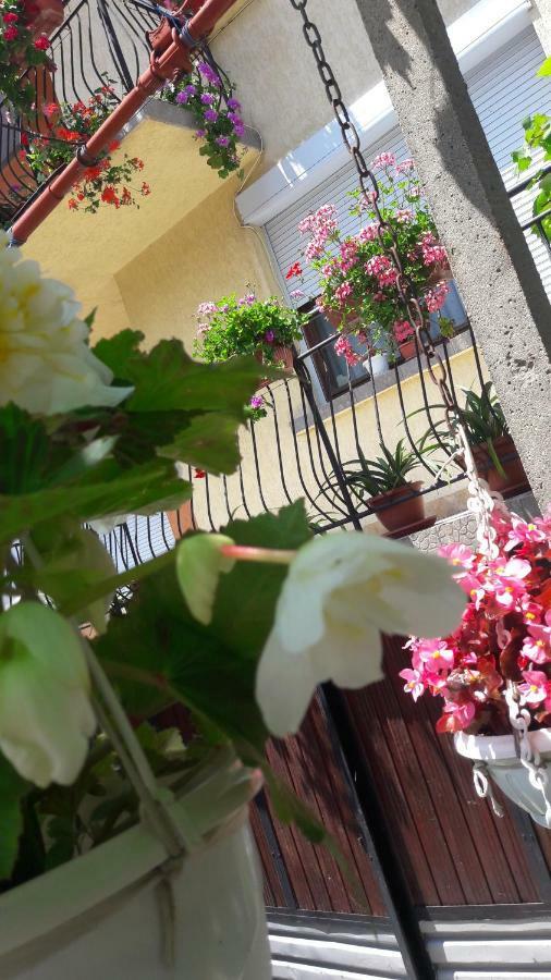 Guest Rooms Ider ساباريفا بانيا المظهر الخارجي الصورة